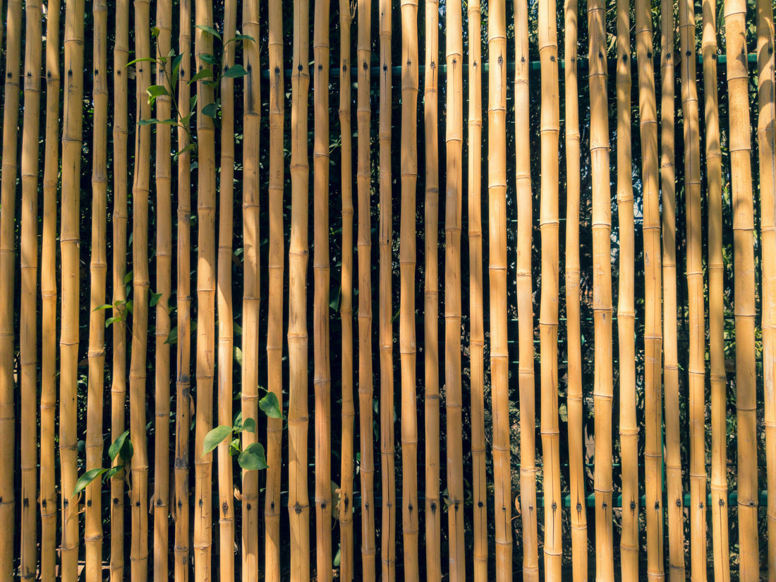 The Environmental Benefits of Bamboo Textiles